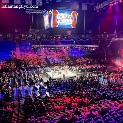 An indoor arena is filled with people watching a wrestling match. The ring is centrally located, and surrounded by audience members sitting in tiered seating. The arena is illuminated with red and blue lights, and a large overhead screen displays 'Sunday Stunner.' Spectators are engrossed in the match taking place in the well-lit ring.